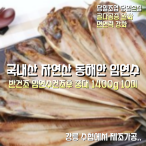 [산지직송] 국내산 자연산 동해안 손질 꾸덕하게말린 반건조 임연수 건조후 1300g 중대 10미 1박스, 동해안 반건조 임연수 건조후 1300g 중대 10미