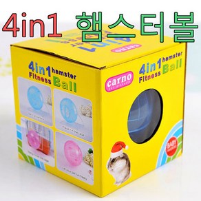 카르노 4in1 햄스터 볼 12cm 헬스볼 운동 장난감