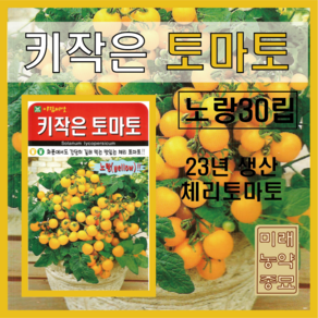 키작은 토마토 씨앗 노랑 30립 -화분 토마토 체리 토마토, 1개