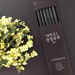 3.1운동 100주년 블랙에디션 연필세트 : 3.1운동 100주년 기미독립선언서 흑목 육각 연필6p세트