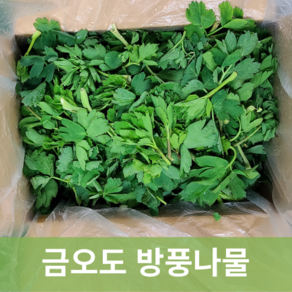 [신진농산] 여수 금오도 햇 방풍나물, 1kg, 1개