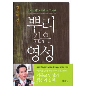 [개정판] 뿌리 깊은 영성 - 인격이 성숙하고 존재가 넉넉해지는 52가지 영성 훈련 - 도서출판 두란노 강준민, 단품