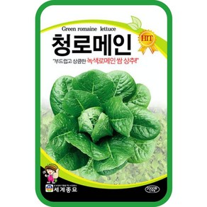 청로메인 2000립 / 로메인 쌈채소 상추 씨앗 종자 텃밭가꾸기 채소심기 geen lettuce, 1개