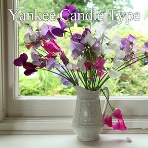 [CPL 영국] 프래그런스 오일 가든 스윗피 GARDEN SWEET PEA Y Candle Type 20ml50ml100ml, 100ml, 1개, 100ml