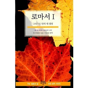 로마서 1:그리스도 안의 새 생명, IVP