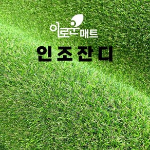 이로운매트 방염 무독성 인조잔디 2M x 5M / 베란다 테라스 옥상 시공 셀프인테리어 실내실외 강아지애견 롤매트 조경 루프탑, 보급16mm 2Mx5M, 1개