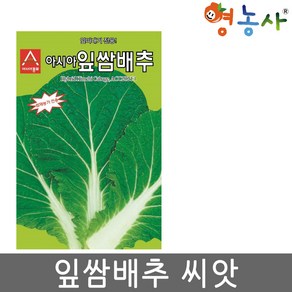 잎쌈배추 씨앗 500립 잎따내기 쌈배추 종자, 잎쌈배추씨앗, 1개