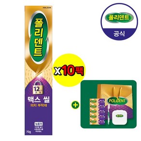 폴리덴트 맥스씰 의치부착재 10개+미니5개+칫솔+보관함+쇼핑백, 없음, 1개