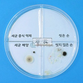 세균 배양과 증식 억제 실험하기(4인세트), 1세트