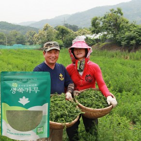 강화약쑥 고운 생 쑥가루 100g 무농약 쑥분말 라떼 쉐이크 유기농 강화약쑥 원재료, 1개