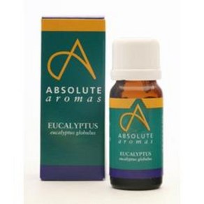 앱솔루트 에센셜오일 유칼립투스 글로버러스 Eucalyptus Globulus 10ml, 1개