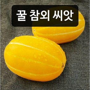 참외 씨앗 50립 판매 고당도 꿀 참외씨 종자심기 파종재배