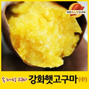 2024년 강화속노랑고구마 강화도호박고구마 햇고구마 [중간크기] 5kg 10kg 선택.