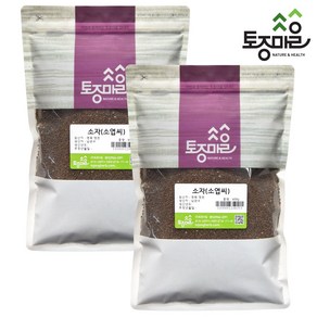 [토종마을] 국산 소자(자소엽씨) 600g, 2개