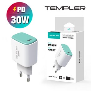 TEMPLER PPS PD 초고속 30W 1포트 C타입 고속 충전기, 본 상품, 1개