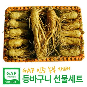 [GAP 농부 재배 인삼] 6-5년근 수삼 특대 2호(1kg 9-14뿌리) 인삼선물세트 등바구니+고급케이스+보자기 3중포장 엄선된 인삼으로만 포장 명절 이바지용, 1세트, 750g