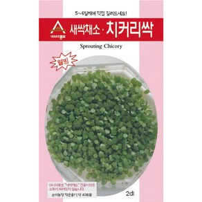 아시아종묘 씨앗 새싹 치커리싹 30g, 1개