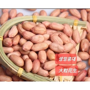 [신중국식품]생땅콩 중국산생땅콩큰알(대), 1개, 생땅콩(대)500g