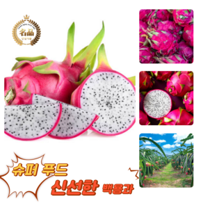[굿피플] 백용과 빨간용과 베트남용과 화이트용과 용과 못난이용과 적용과, 1박스, 백용과 1.5kg