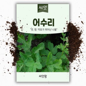 어수리씨앗 (50립), 1개