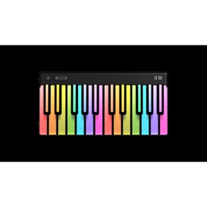 루미 롤리 Piano 피아노 LUMI Roli oli 디지털 ROLI KEYS, 즐겨찾기 추가 구매, 1개