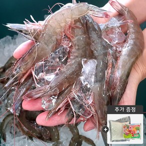 국내산 당일조업 급냉새우1kg (24~28미) 새언니 국내산 신안새우 생새우 왕새우 대하 흰다리새우, 1개, 1kg