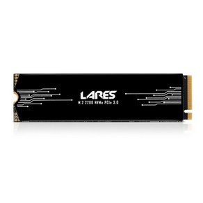 [J&A] LEVEN JP600 LARES M.2 NVMe 2280 [512GB TLC] 방열판