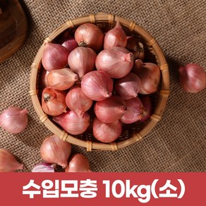 2025햇샬롯 모충 살롯10kg (작은사이즈), 1개