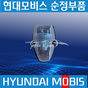 파워택 뉴파워택 EG5톤 마빡등 천장등 현대모비스순정 926607A901, 1개