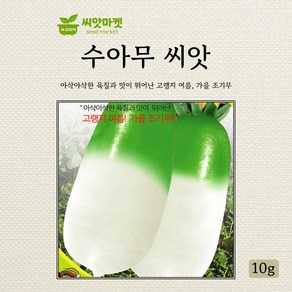 세계종묘 수아무 씨앗 10g, 1개