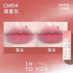 INTO YOU 인투유 클라우디 립 머드 Cloudy Lip Mud 매트 벨벳 틴트, CM04-Mauve