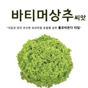 유럽상추 바티머 상추 씨앗 (100립) 프리미엄 상추, 1개