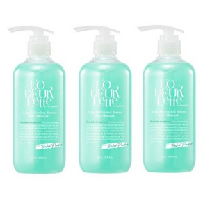 로더렛 컬러핏 헤어샴푸2개+트리트먼트1개 파우더리브리즈 500ml, 1개