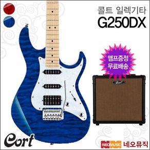 Cot G250DX+AMP, 콜트 G250DX/TB