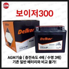 보이져 300 AGM 배터리 12V 10Ah / 150x87x130, 1개