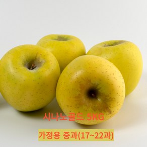 [당도대장]초고당도 황금사과 시나노골드 정품 가정용 2kg 3kg 5kg, 1박스, 가정용 시나노골드5kg 중과(17~22과)