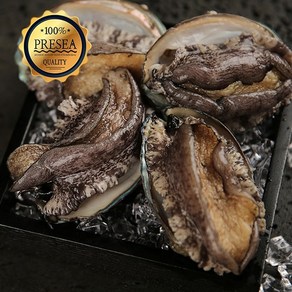 완도홍반장 [직접선별한A급] 완도활전복 산지판매 참전복 꼬마전복 1kg, 1개, 활전복 25~30미 1kg