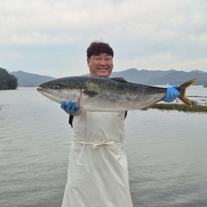 산지로드 당일작업 자연산 중방어회 3인분, 1개, 500g