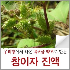 신토불이약초 창이자 즙 진액 도꼬마리 열매 액기스 원액 90ml 60포, 60개