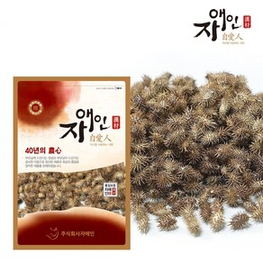 자애인 국산 창이자 볶지 않은 건창이자 도꼬마리 충북제천, 300g, 1개