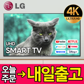 LG전자 43인치 109cm(43) 4K UHD 스마트 LED TV, 방문설치, 스탠드형