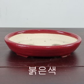 1. 손바닥정원 타원형 분재화분 승전분, 붉은흘림