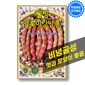 얼룩이 강낭콩 씨앗 (30g) 비넝굴성 강낭콩 씨 종자 키우기, 1개