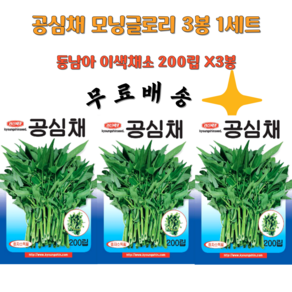 공심채씨앗 3봉 모닝글로리종자 동남아씨앗, 1세트