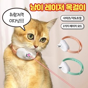 앤트앤비 고양이 장난감 LED 무빙 레이저 목걸이, 1개, 피치