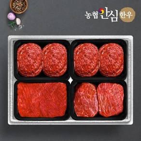 [농협안심한우] 1등급 일품정육세트 (불고기+불고기+국거리+장조림)/팩당400g/총1.6kg, 1개, 1.6kg