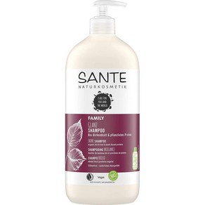 독일 산테 Sante Shine Shampoo 자작나무 잎 식물성 단백질 패밀리 샤인 샴푸, 1개, 500ml