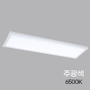 비츠온 퓨쳐 LED 슬림 면조명 엣지등 평판등 40W 900 x 250 mm, 주광색