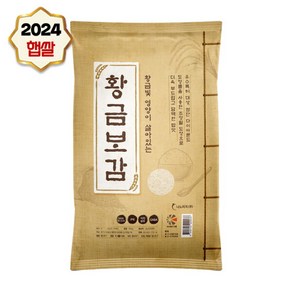 [나노미] 24년 햅쌀 황금빛 황금보감 10kg, 1개