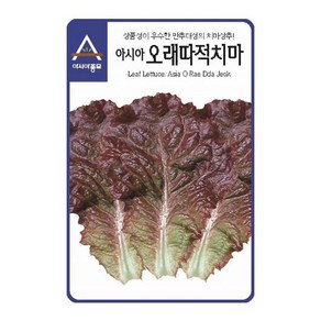 [상추]적치마 3000립, 1개